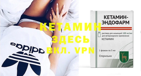 прущие грибы Каменногорск