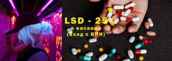 дживик Абинск