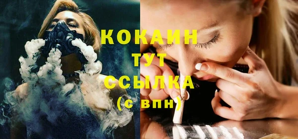 соль ск Алексин