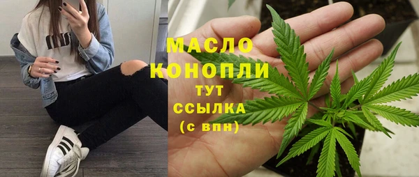 дживик Абинск